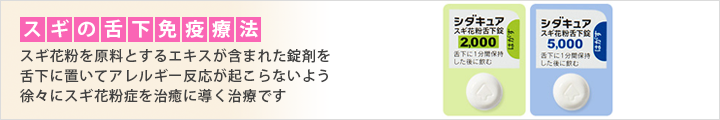 杉の舌下免疫療法